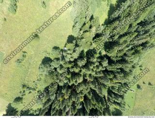 forest from above 0003